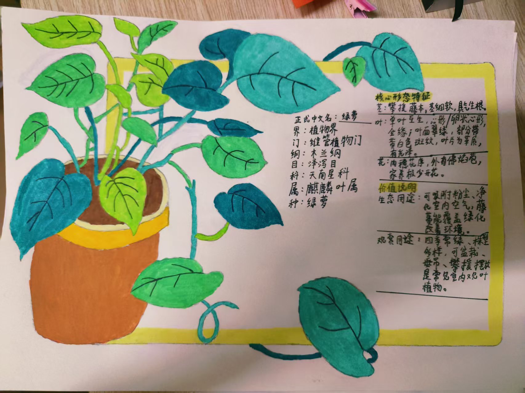 2026.6.1与草木相逢,赴科普之约4.jpg 2026.6.1与草木相逢,赴科普之约4.jpg